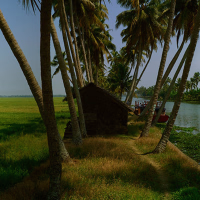 Our efforts for a clean and green backwaters in Kumarakom